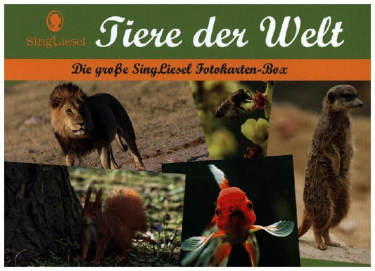 Tiere der Welt - Fotokarten für Senioren