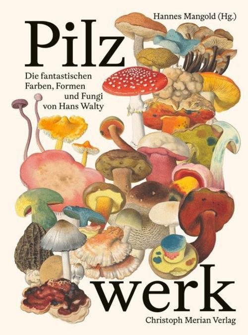 Buchcover: Pilzwerk