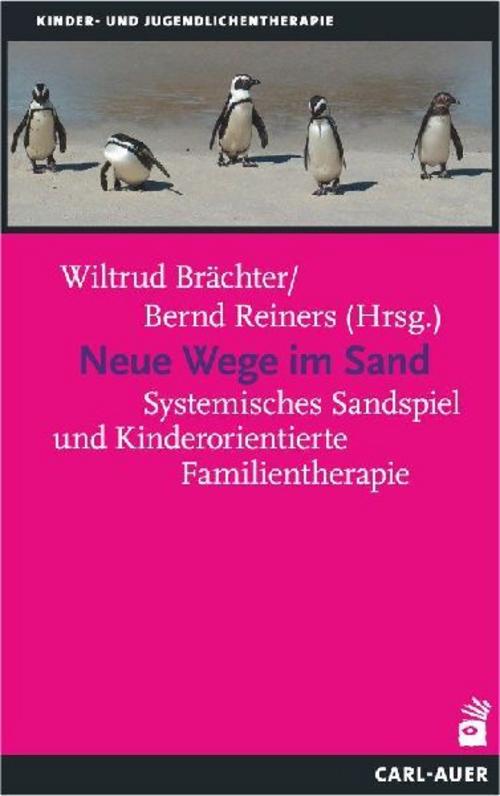 Neue Wege im Sand