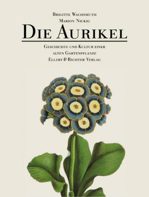 Buchcover: Die Aurikel