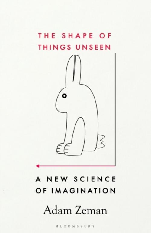 The Shape of Things Unseen