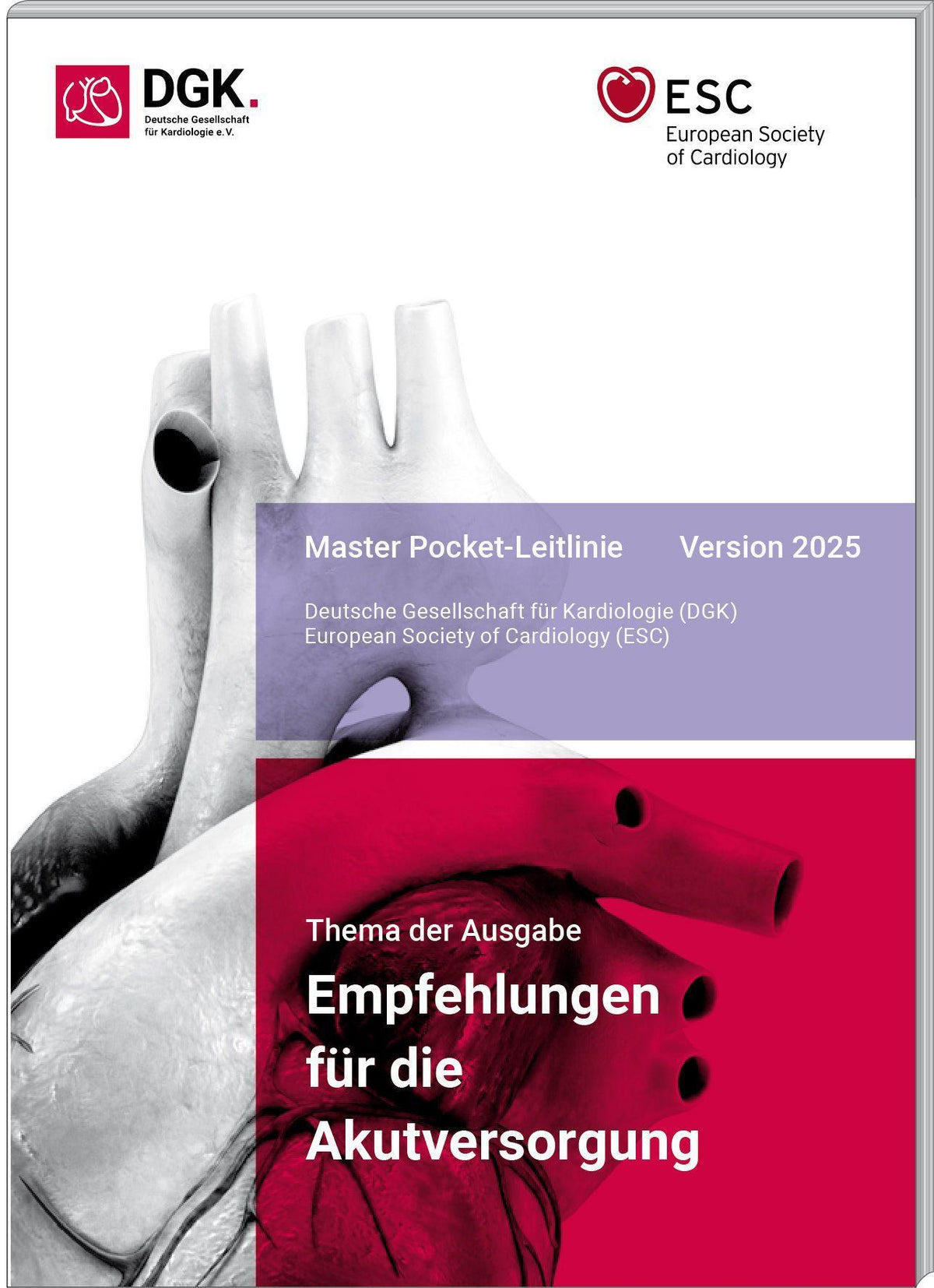 Buchcover: Empfehlungen für die Akutversorgung