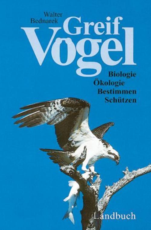 Buchcover: Greifvögel