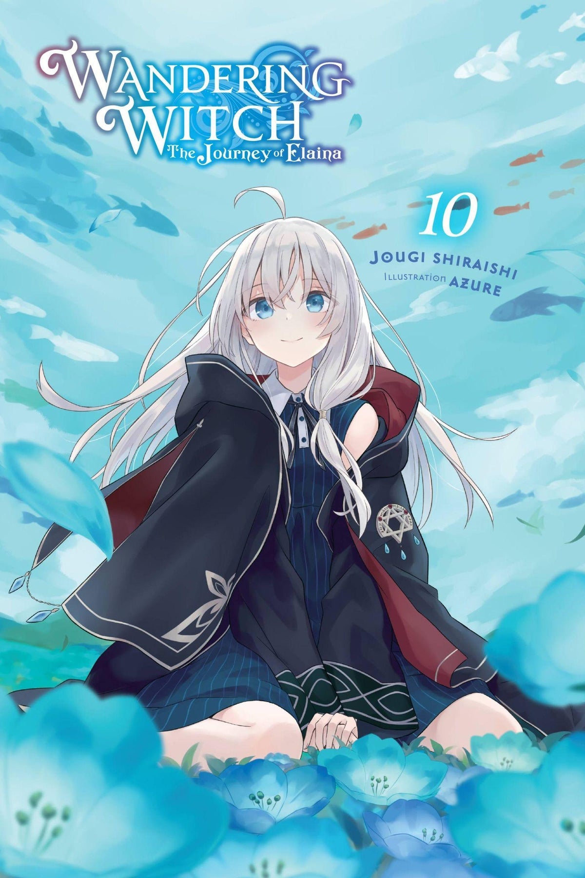 Buchcover: Wandering Witch