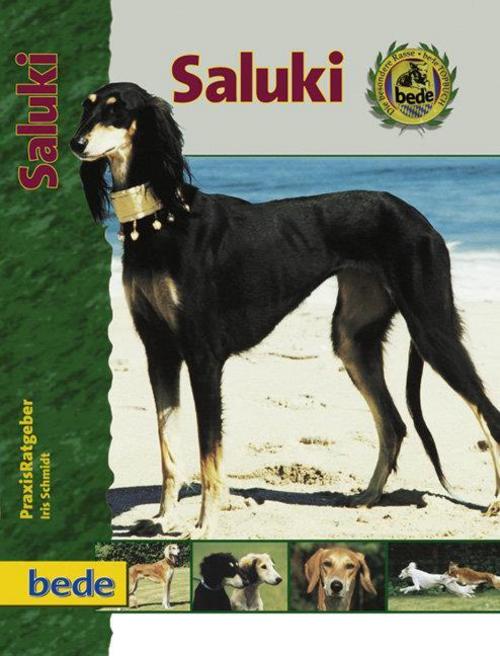Buchcover: PraxisRatgeber Saluki