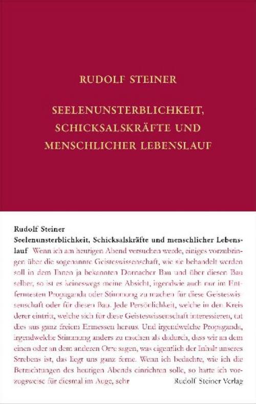 Buchcover: Seelenunsterblichkeit, Schicksalskräfte und menschlicher Lebenslauf