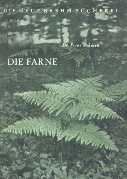 Buchcover: Die Farne