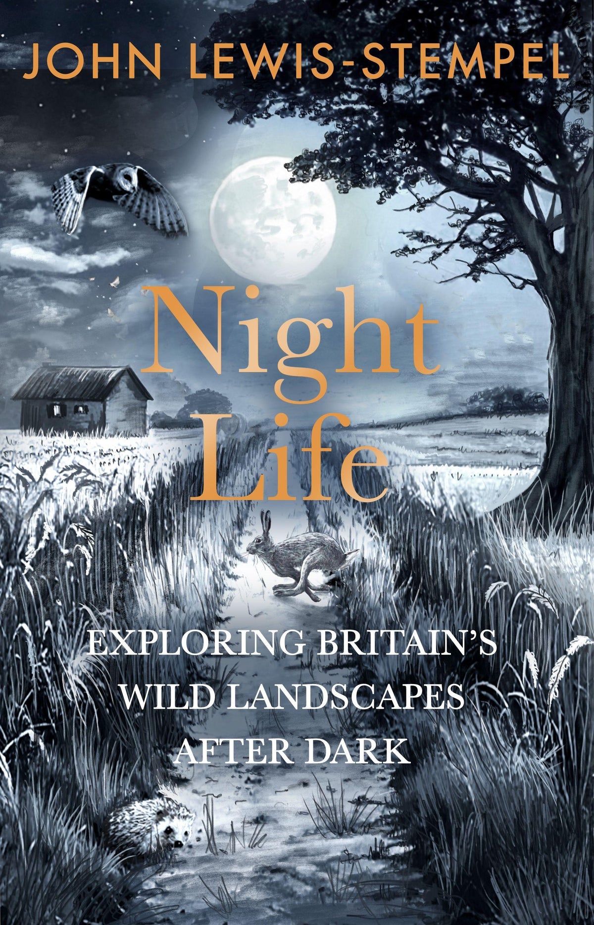 Buchcover: Night Life