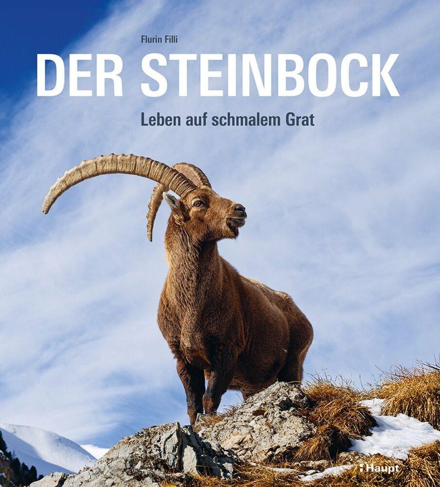 Buchcover: Der Steinbock