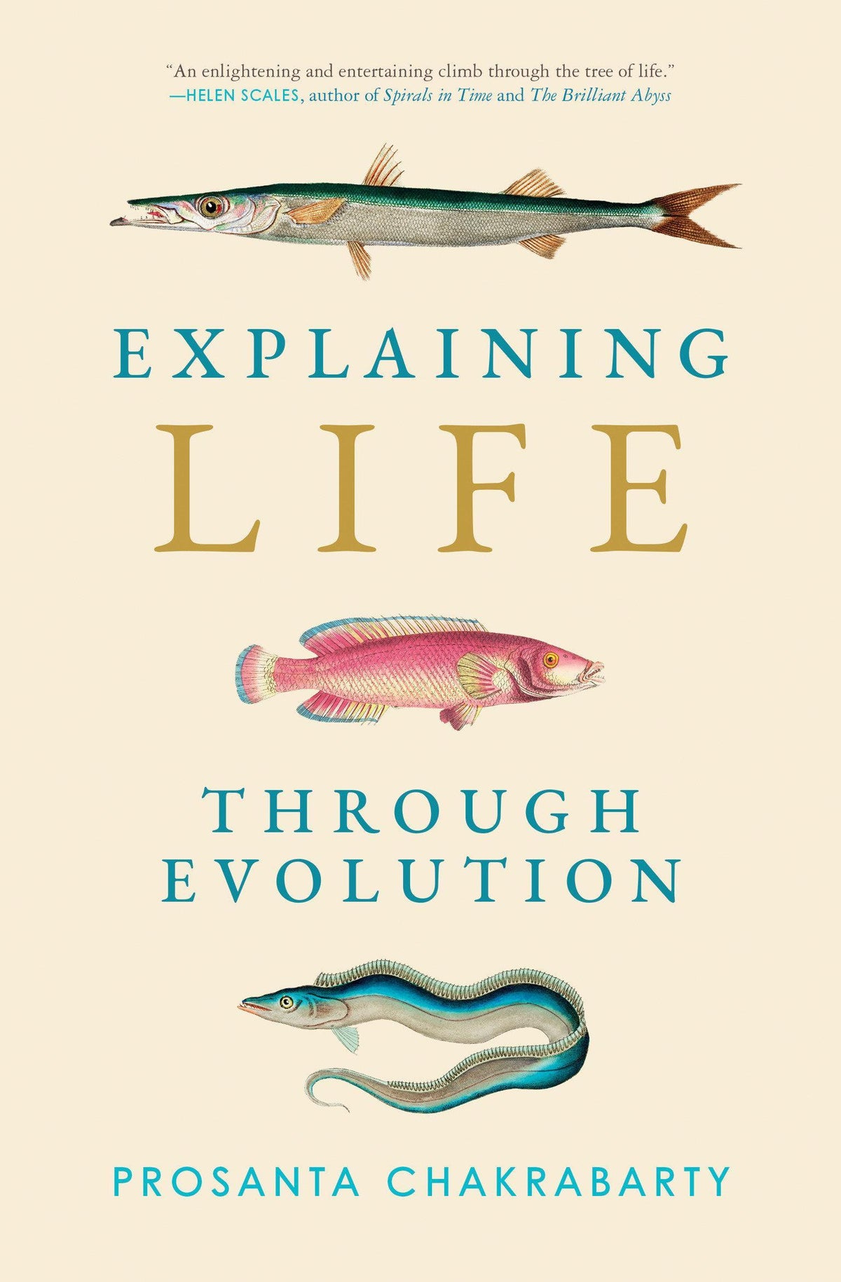 Buchcover: Explaining Life through Evolution