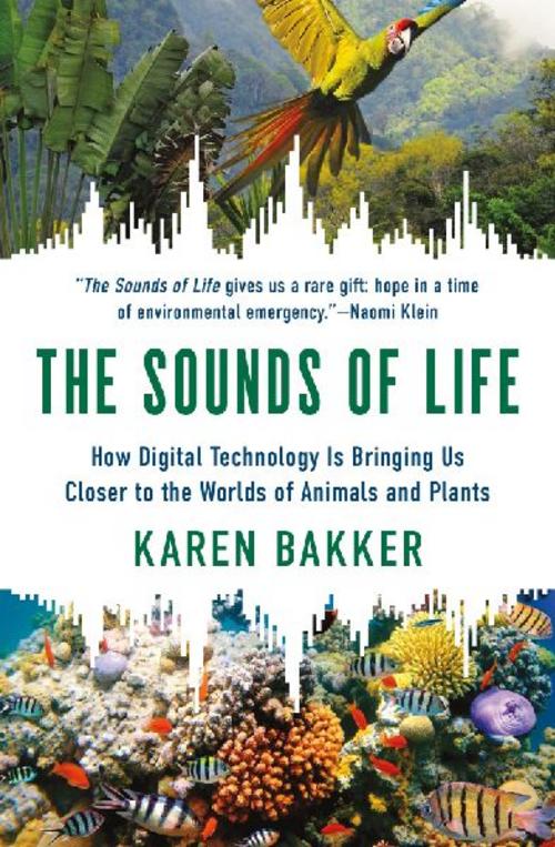 Buchcover: The Sounds of Life