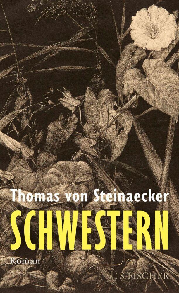 Schwestern: Roman