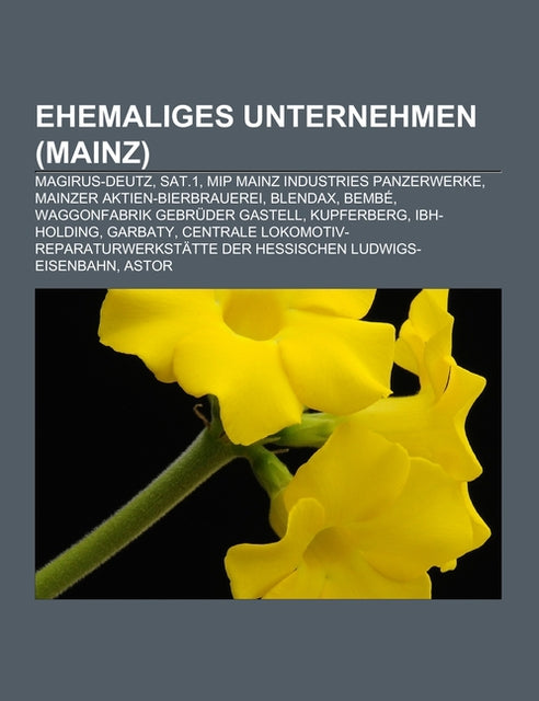 Ehemaliges Unternehmen (Mainz)