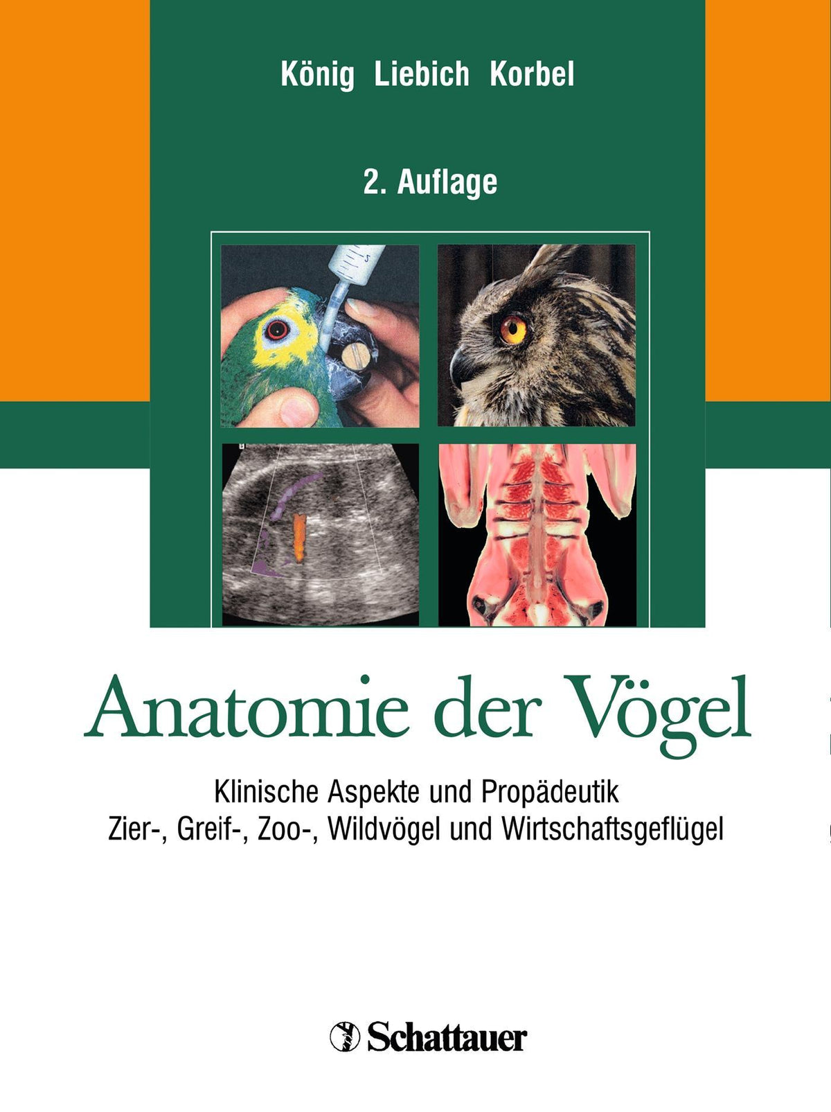 Buchcover: Anatomie der Vögel