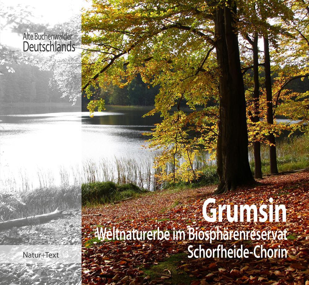 Buchcover: Grumsin
