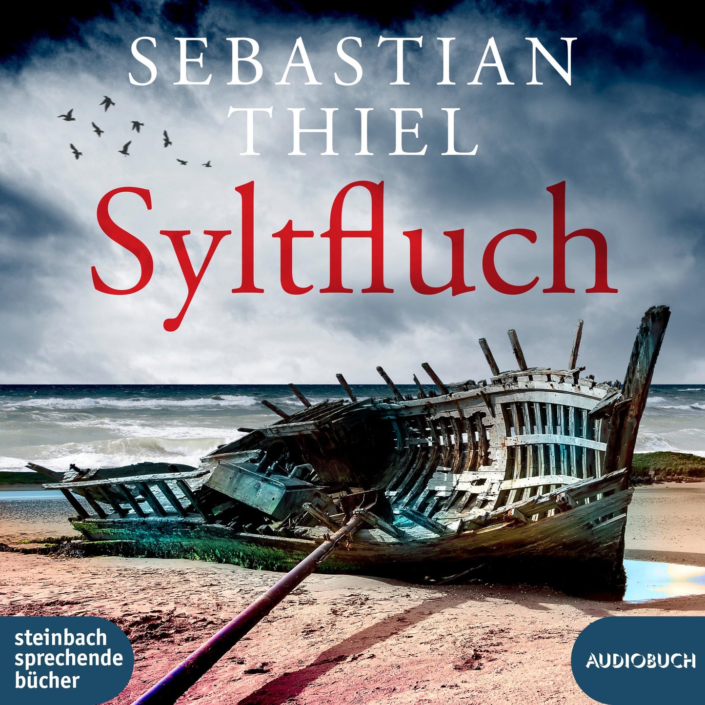 Syltfluch,1 Audio-CD, 1 MP3