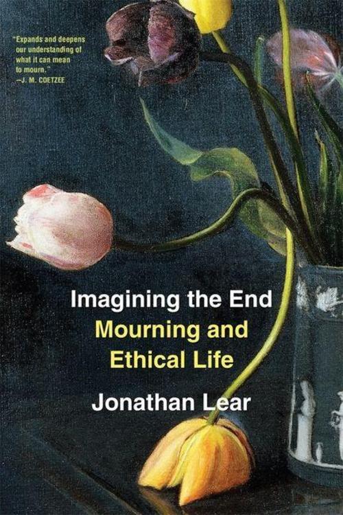 Buchcover: Imagining the End