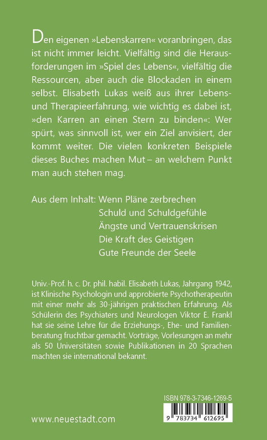 Buchcover: Binde deinen Karren an einen Stern