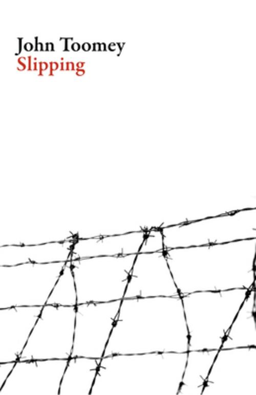 Buchcover: Slipping