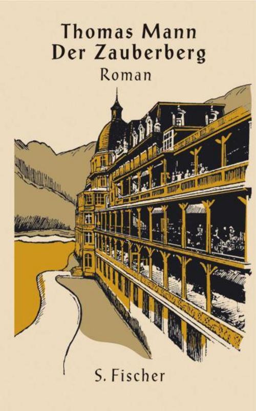 Mann/Zauberberg Reprint