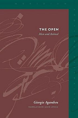 Buchcover: The Open