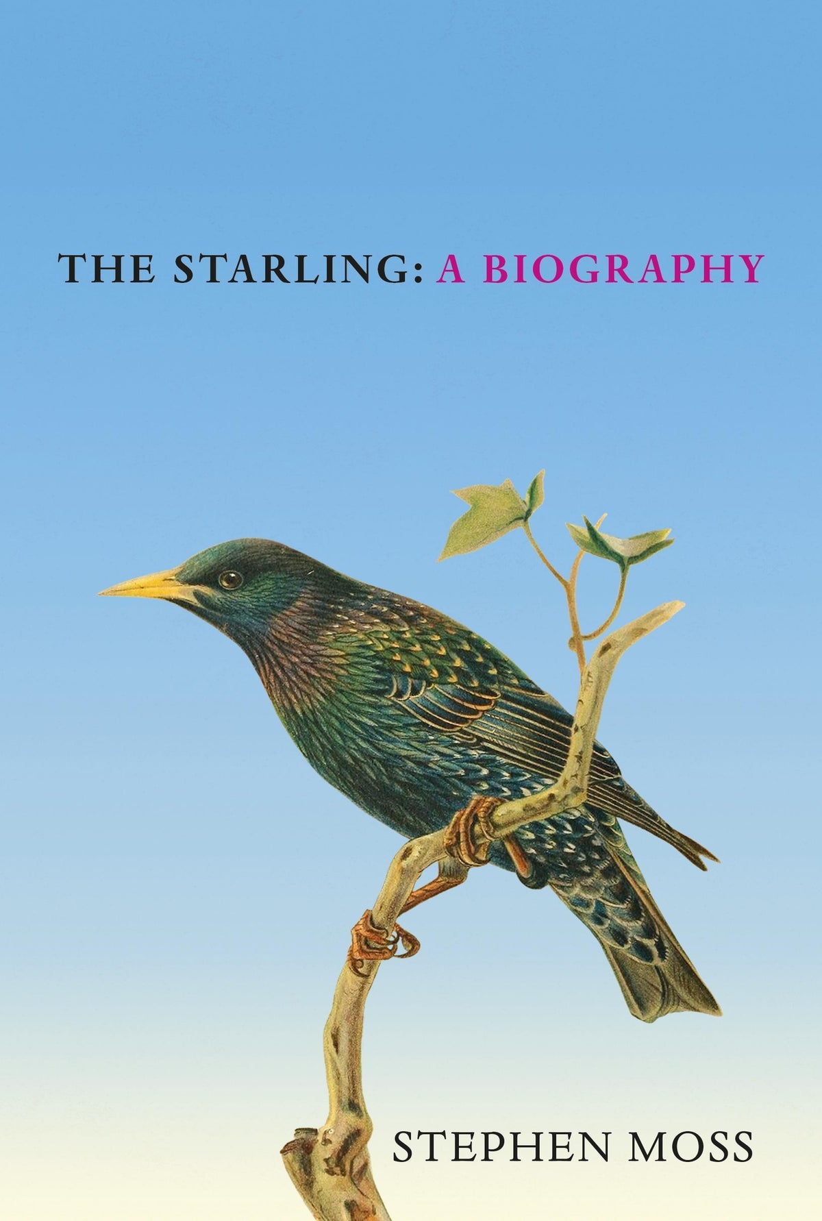 Buchcover: The Starling