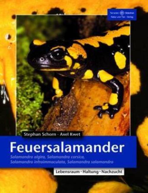 Buchcover: Feuersalamander