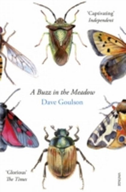 Buchcover: A Buzz in the Meadow