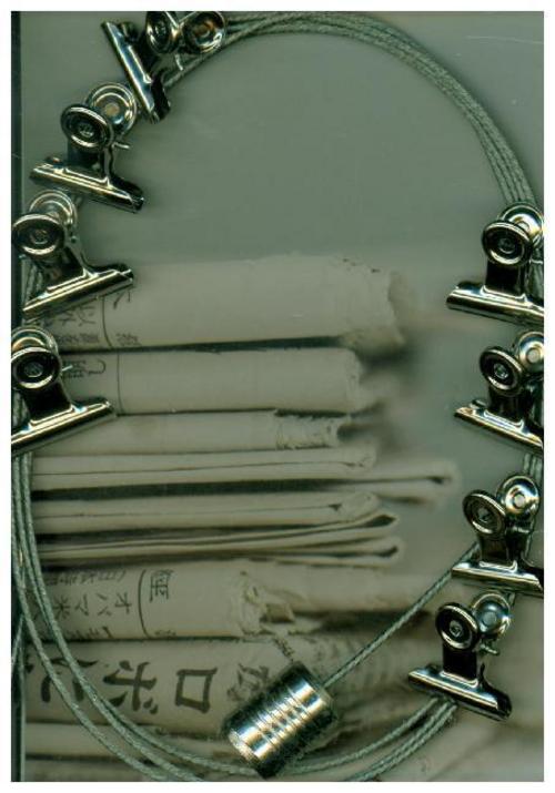 Buchcover: Fotoleine CLIPS 8 Magnete / 150 cm