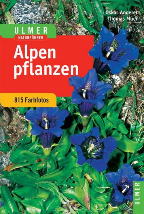 Buchcover: Alpenpflanzen