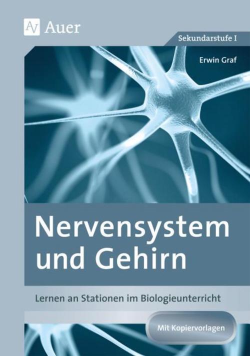 Nervensystem und Gehirn