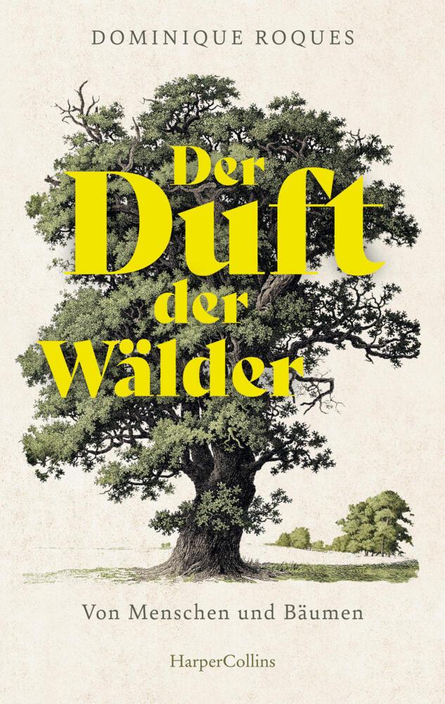 Buchcover: Der Duft der Wälder. Von Menschen und Bäumen