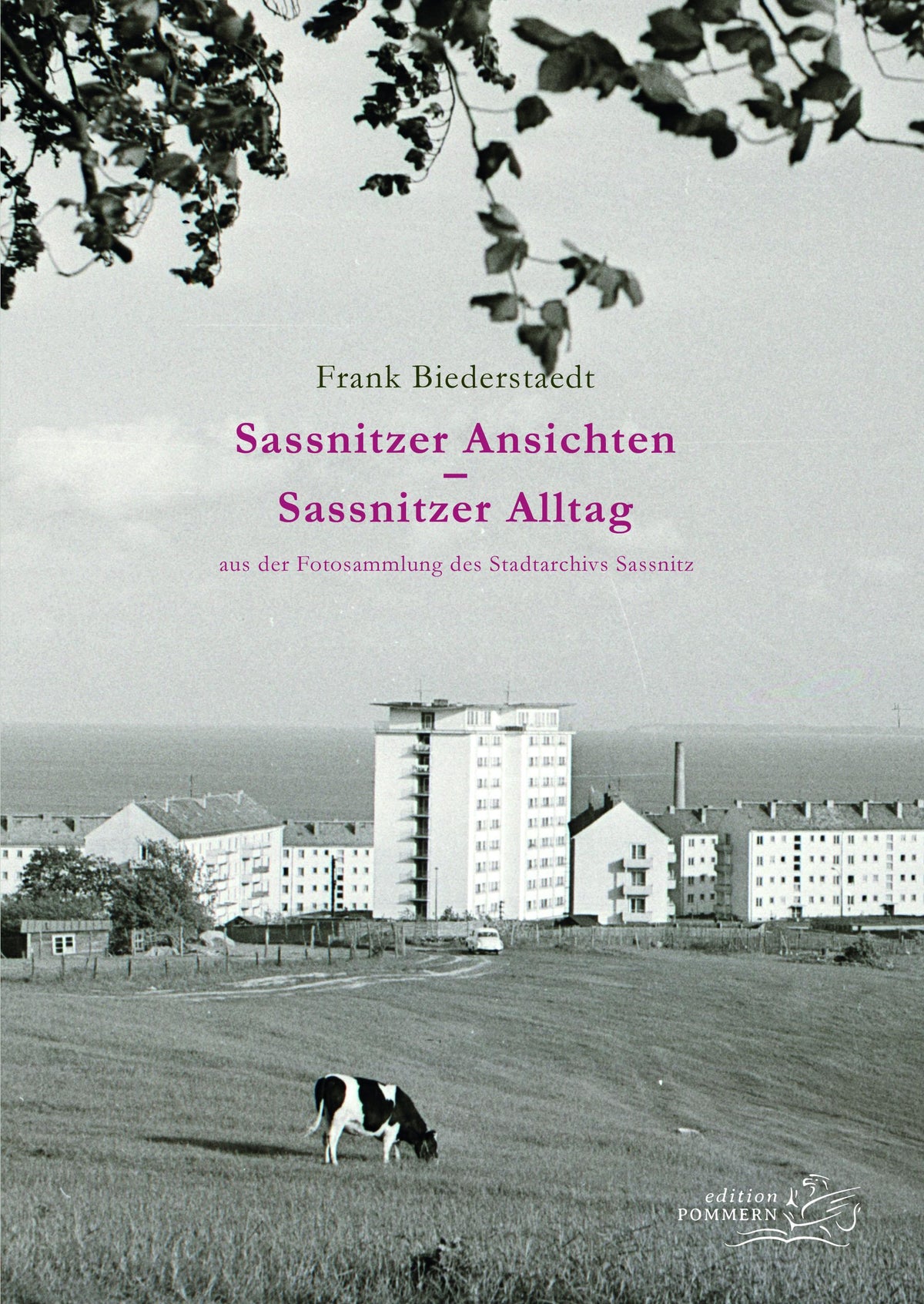 Buchcover: Sassnitzer Ansichten - Sassnitzer Alltag