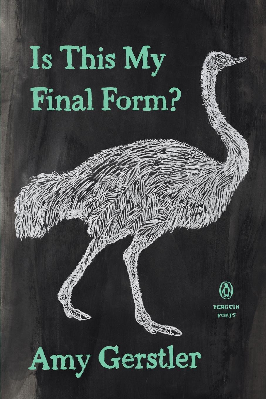 Buchcover: Is This My Final Form?