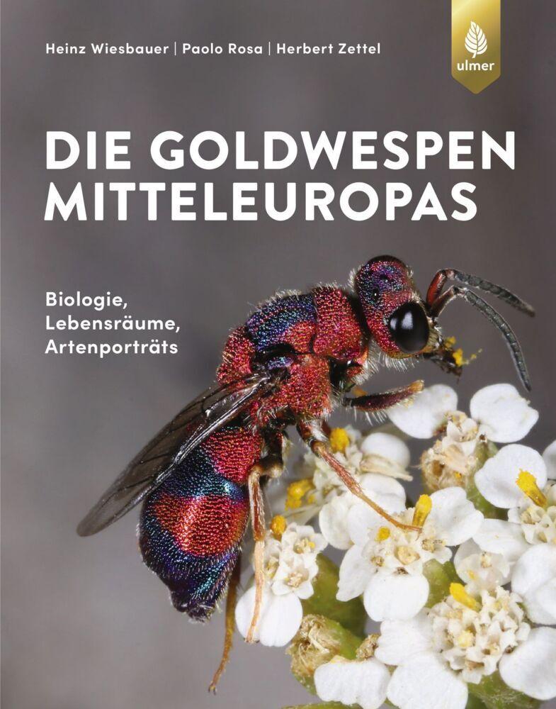 Buchcover: Die Goldwespen Mitteleuropas