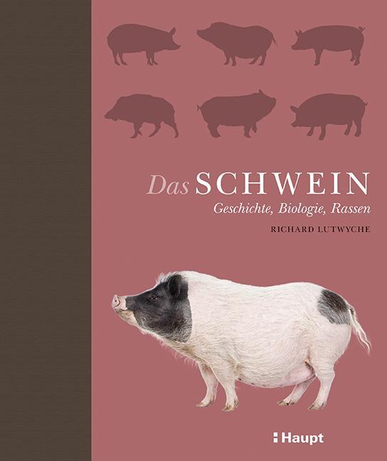 Buchcover: Das Schwein