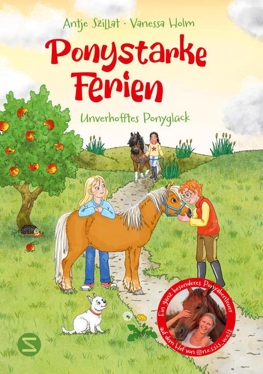 Szillat, Antje/Ponystarke Ferien. Unverhofftes Ponyglück (Band 2)