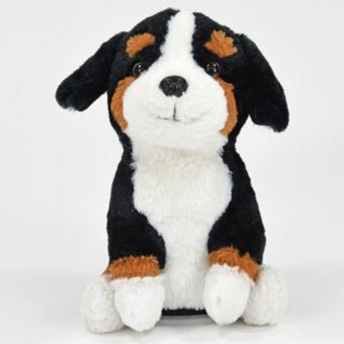 Laber Berner Sennenhund