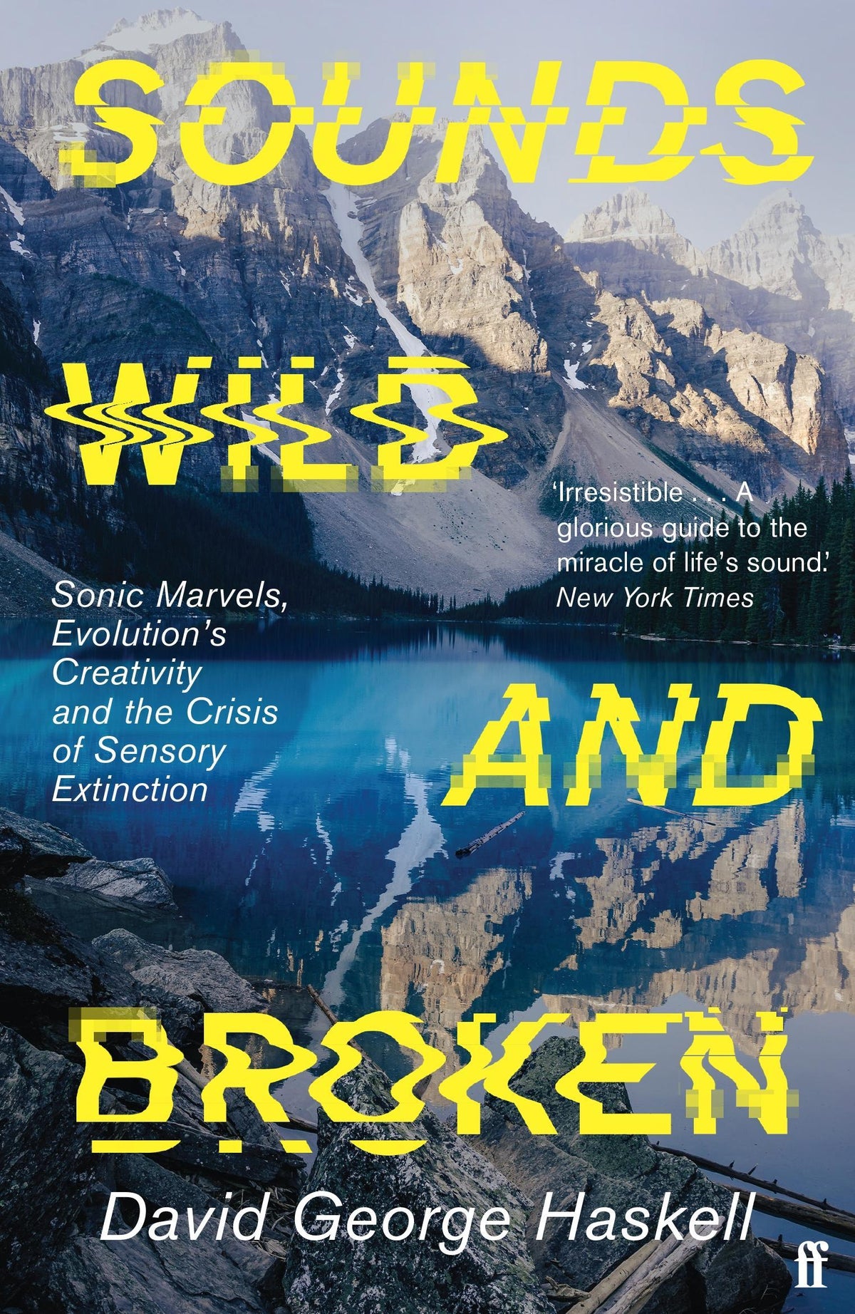 Buchcover: Sounds Wild and Broken