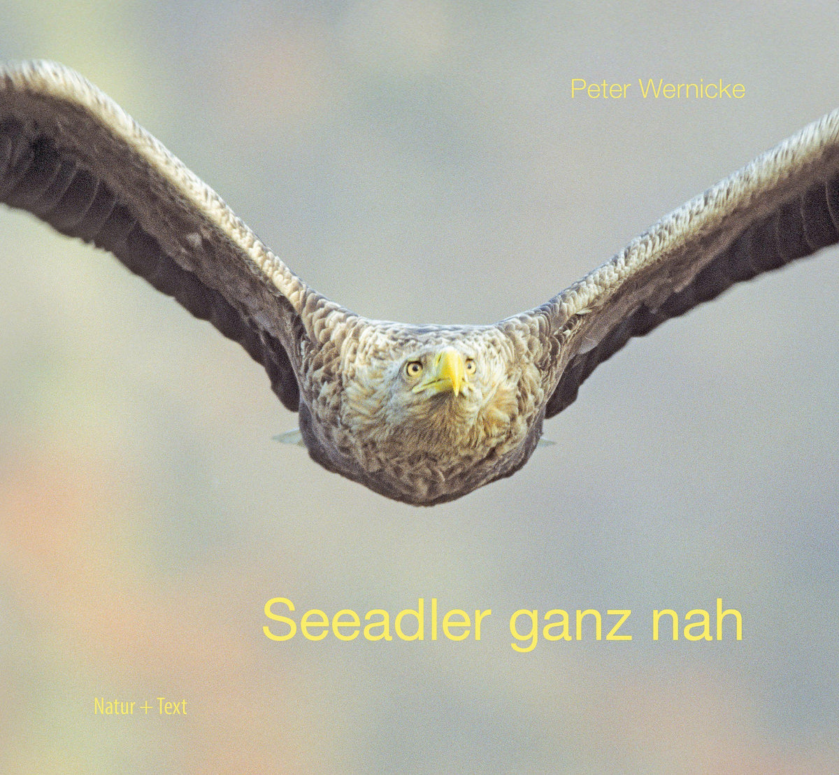 Buchcover: Seeadler ganz nah