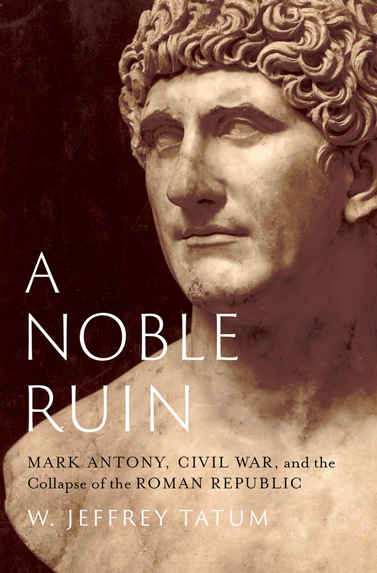 Buchcover: A Noble Ruin