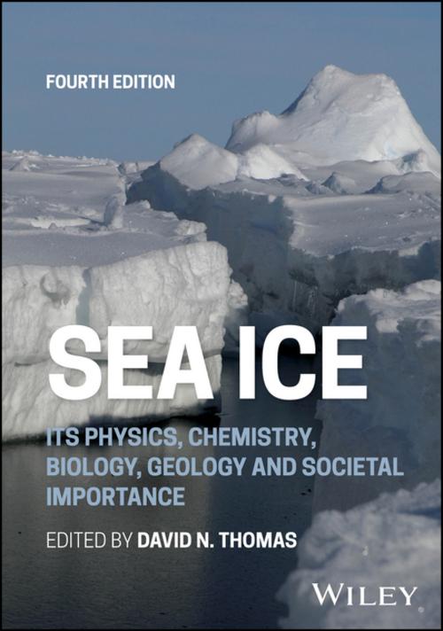 Buchcover: Sea Ice