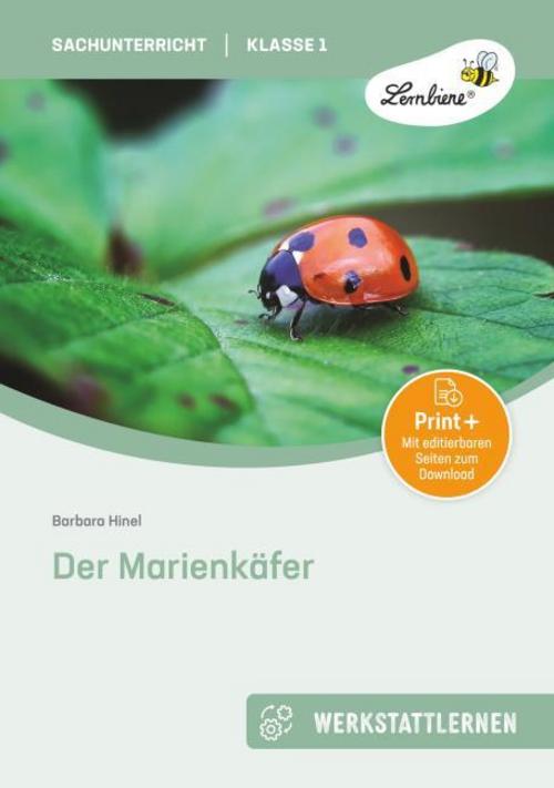 Der Marienkäfer. Grundschule, Sachunterricht, Klasse 1-2