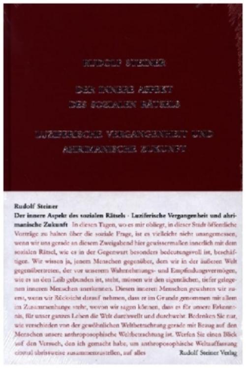 Der innere Aspekt des sozialen Rätsels