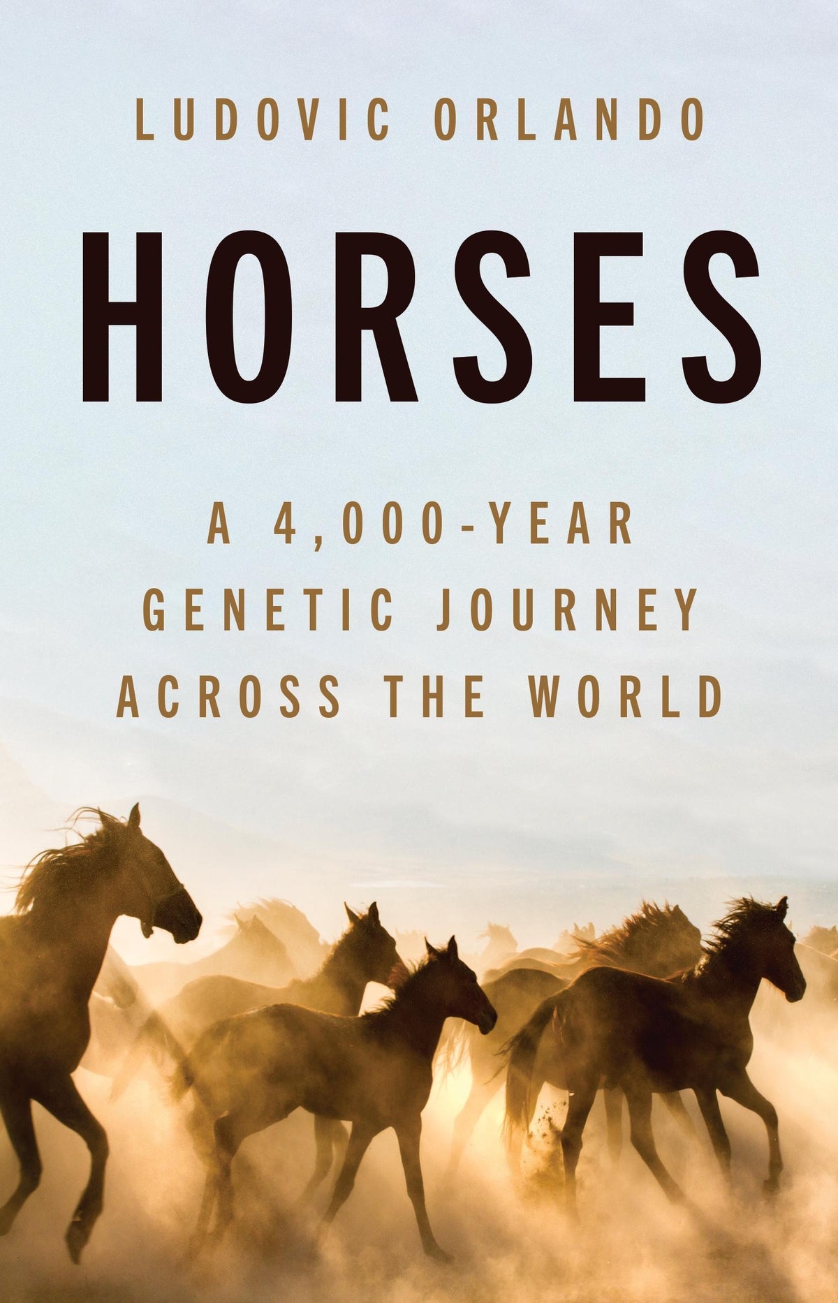 Buchcover: Horses
