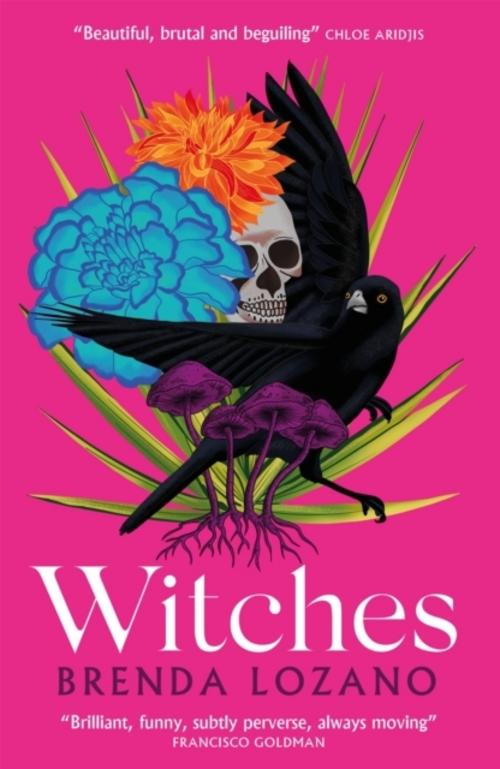 Buchcover: Witches