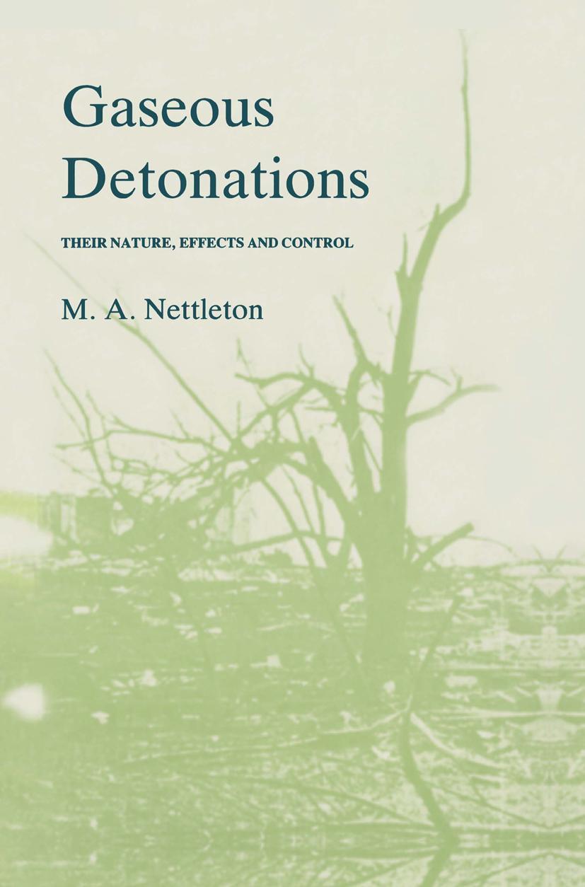 Buchcover: Gaseous Detonations