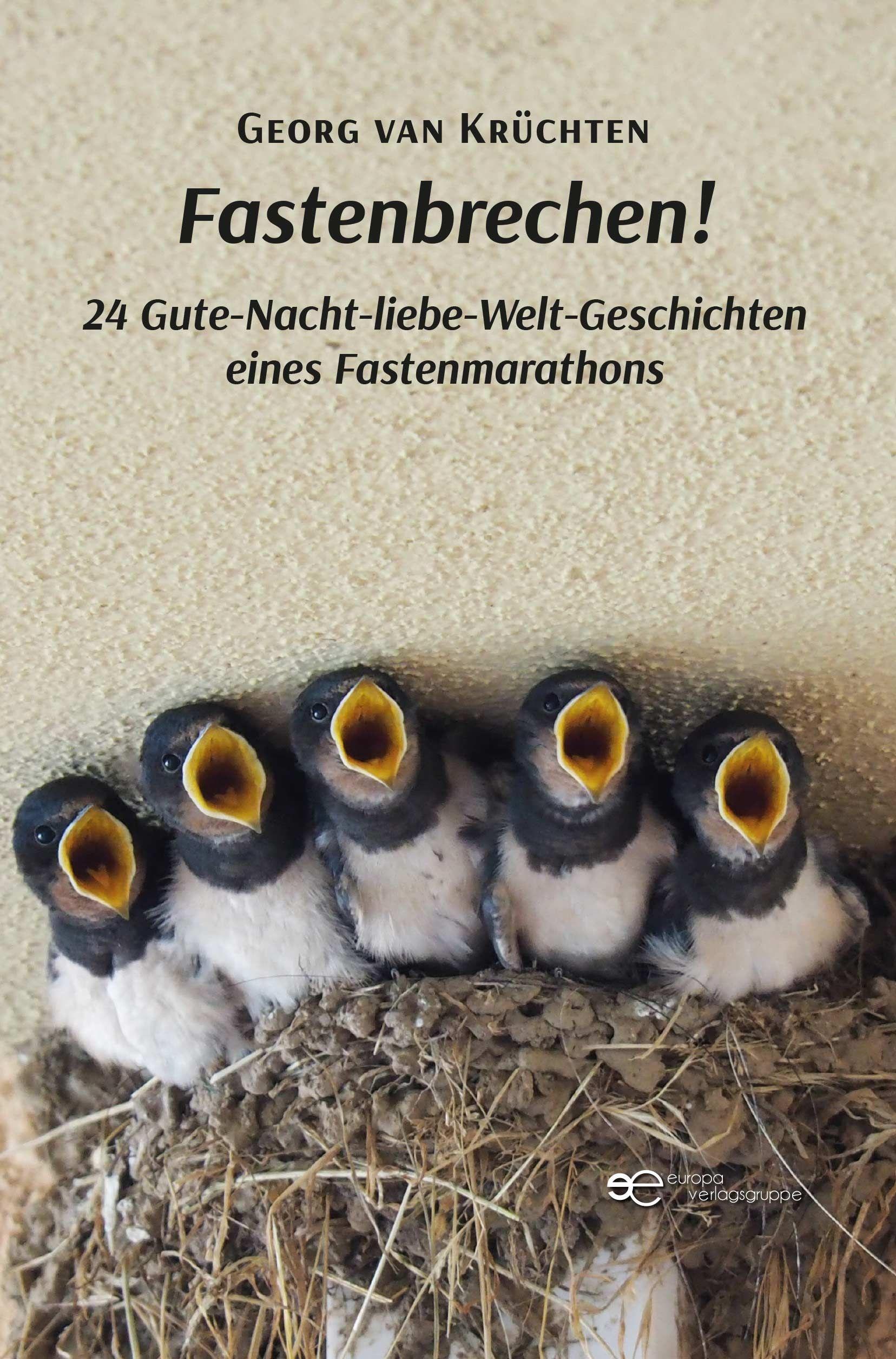 Buchcover: FASTENBRECHEN
