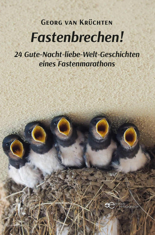Buchcover: FASTENBRECHEN