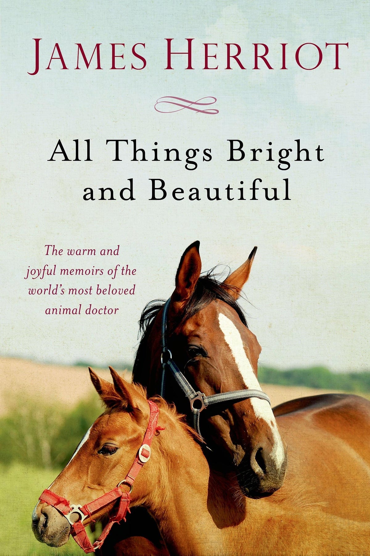 Buchcover: All Things Bright and Beautiful